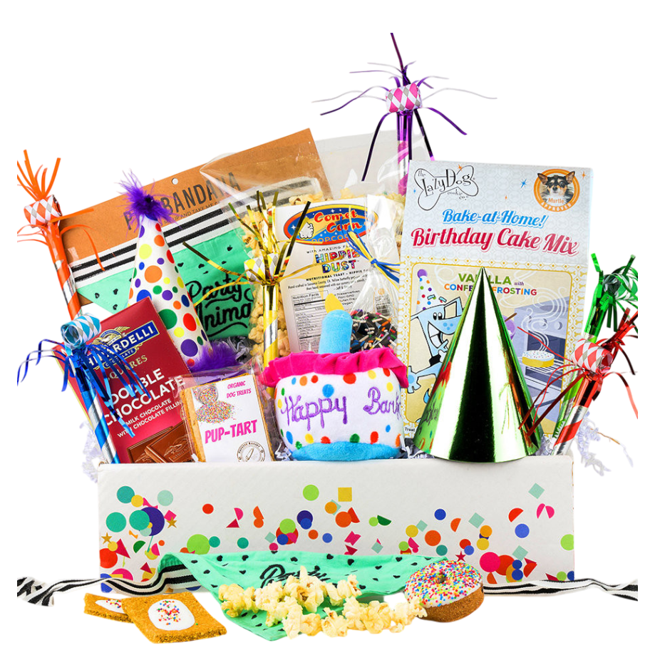 Pawty On! Birthday Dog & Owner Gift