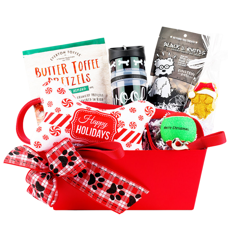 Winter Adventures! Christmas Dog Walking Gift