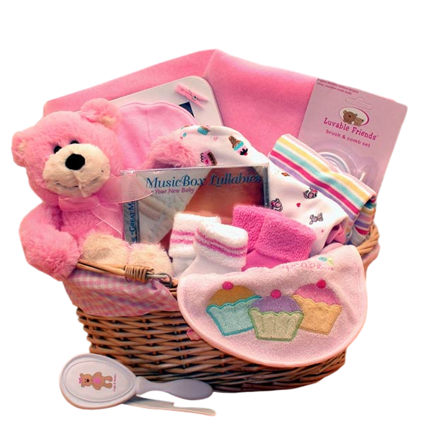 Beary Special New Baby Gift Basket -Pink