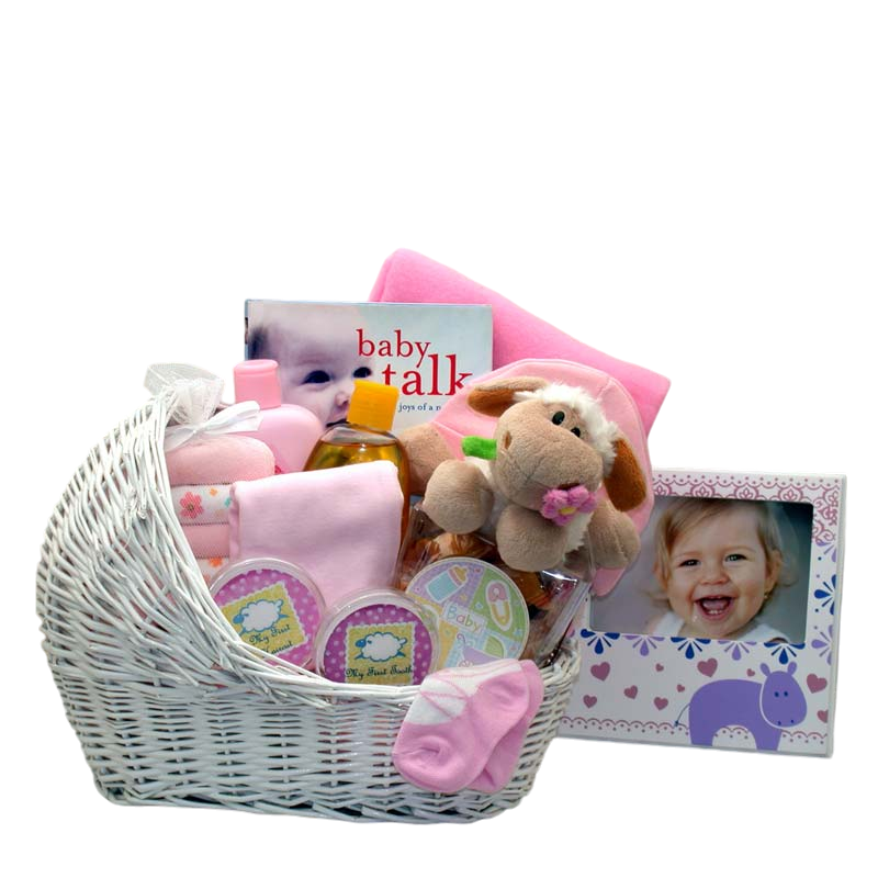 Baby Bassinet Gift Basket -Pink