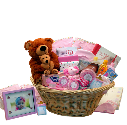 Welcome Little One Baby Gift Basket -Pink