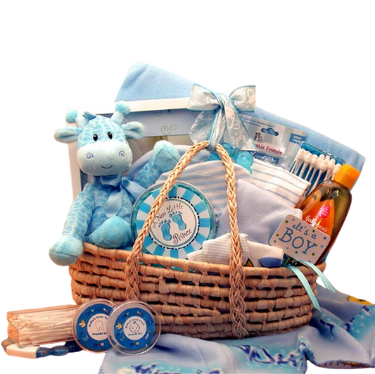 Moses Carrier Baby Gift Basket -Blue