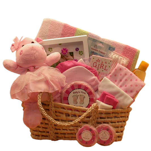 Moses Carrier Baby Gift Basket -Pink