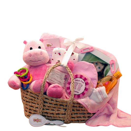 Sweet Moses Carrier Baby Gift Basket -Pink