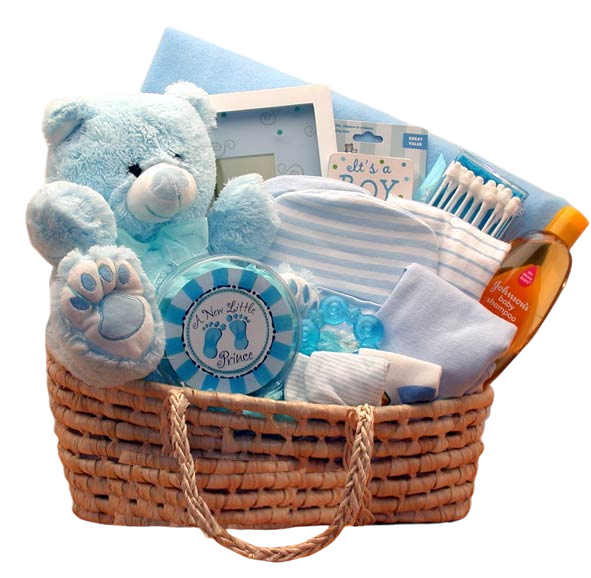 Sweet Moses Carrier Baby Gift Basket -Blue