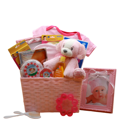 My First Puppy New Baby Gift Basket -Pink