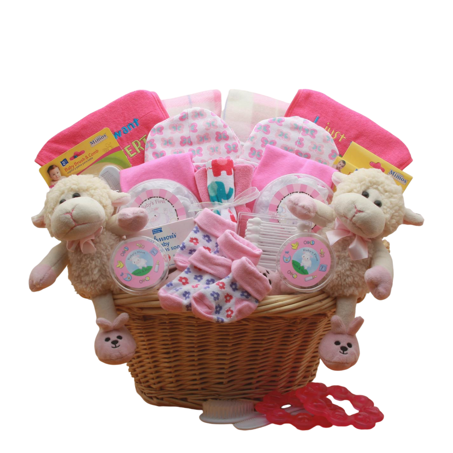 For the Love of Twins Baby Gift Basket -Pink