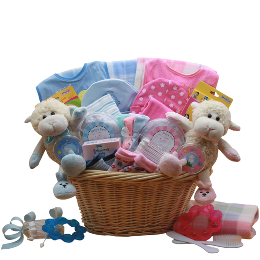 For the Love of Twins Baby Gift Basket -Pink/Blue