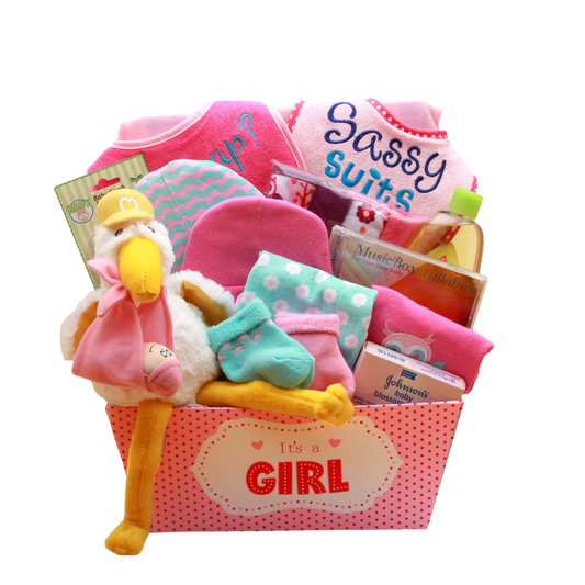 Welcome Baby Girl Gift Basket -Pink